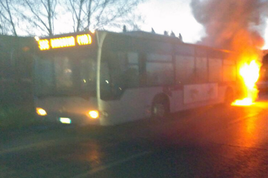 SULCTCitaro1
