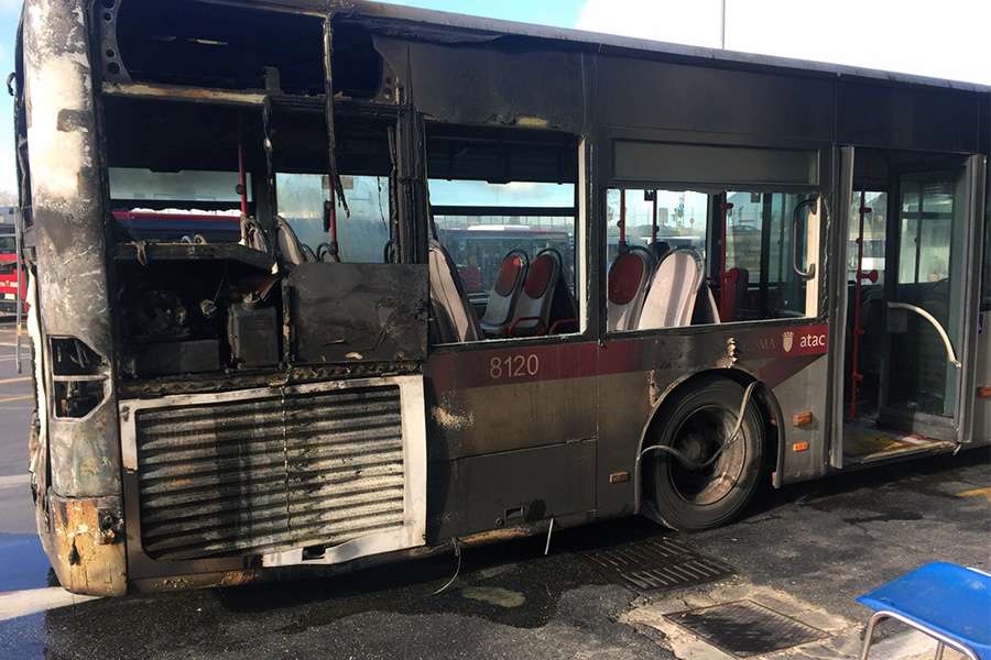 SULCTCitaro4